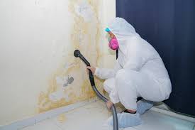 Best Post-Construction Mold Inspection  in Oquawka, IL